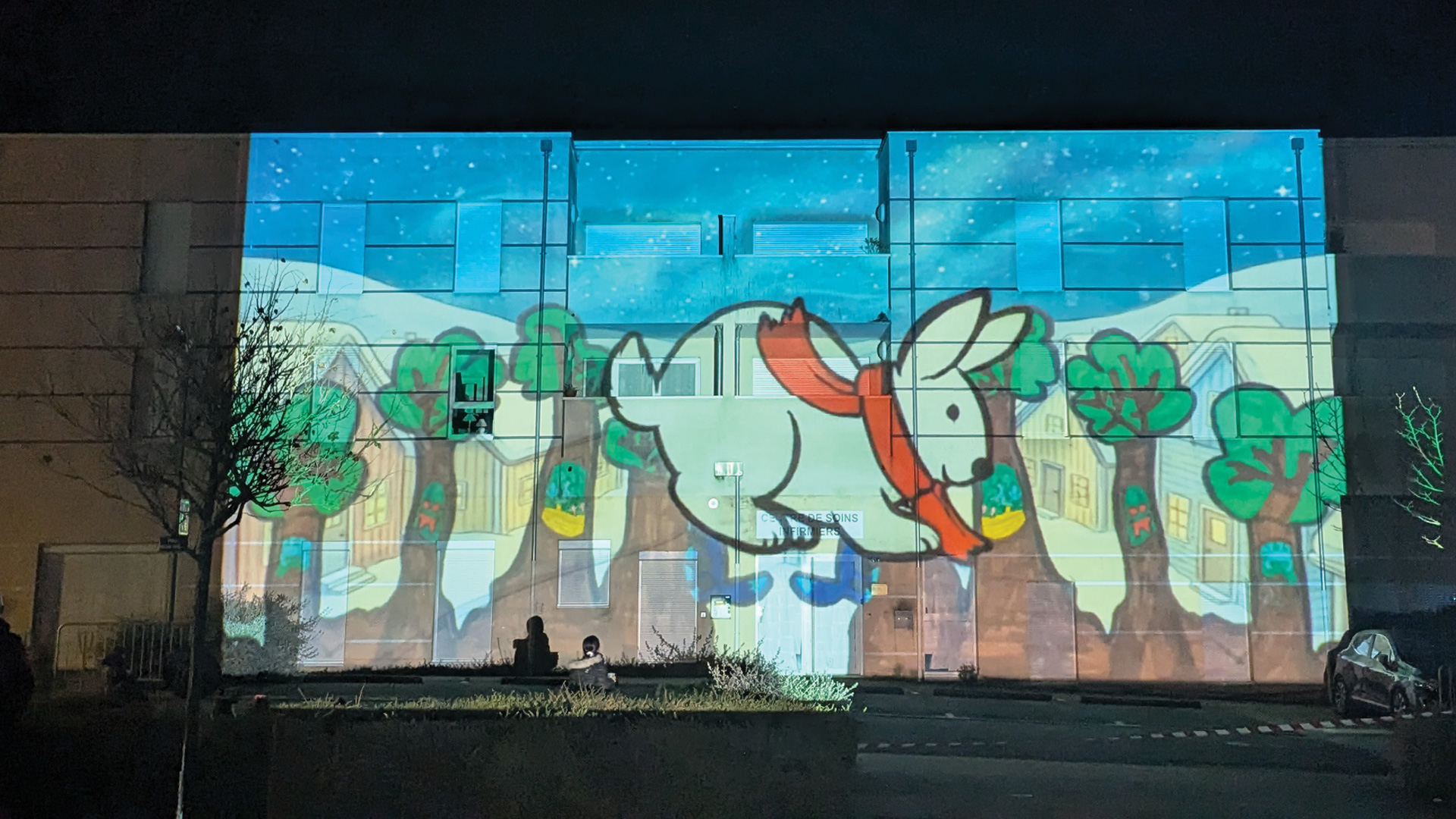 Lumières Givrées - Projection Noël